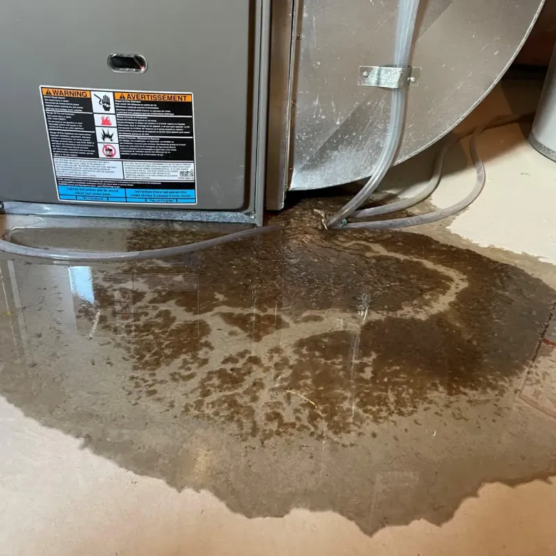 Appliance Leak Cleanup in Bethel Heights, AR