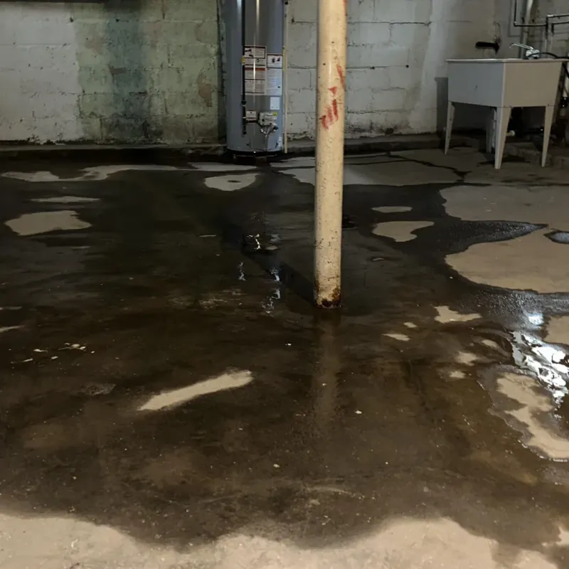 Emergency Water Extraction And Removal in Bethel Heights, AR